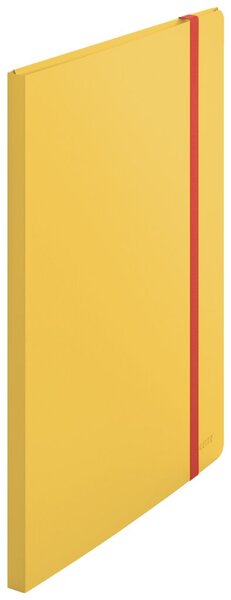 Dateiordner, Datei-Ordner