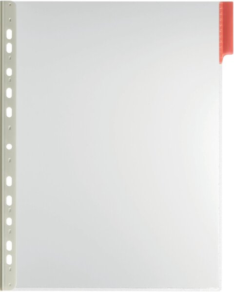 Sichttafel FUNCTION PANEL, DIN A4, 5 eingeschweißte Taben, 5 Stück, rot
