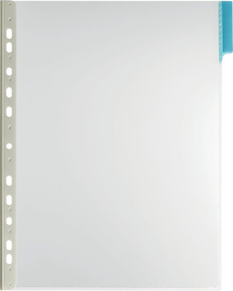 Sichttafel FUNCTION PANEL, DIN A4, 5 eingeschweißte Taben, 5 Stück, blau