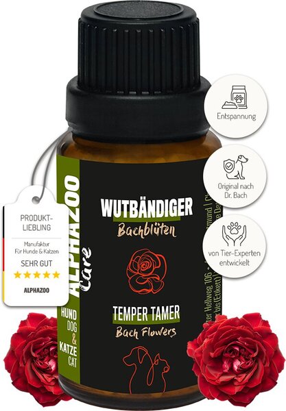 Blume, Rose, Kräuter, Flasche, Blütenblatt