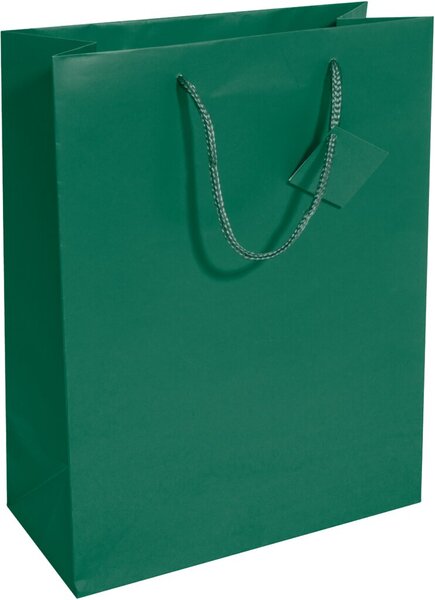 Geschenktaschen, Large, opalgrün, Mattlack, Geschenkeanhänger, 157g/qm, 260 x 330 x 120 mm
