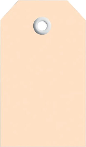 Anhängezettel 35 x 60 mm, mit Kunststofföse, Packung à 1000 Stück