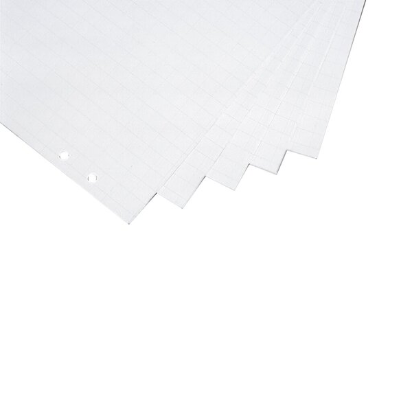 Flipchartblock, 65 x 98 cm, blanko/kariert, 20 Blatt, 70g/qm, gerollt, Karton à 5 Stück