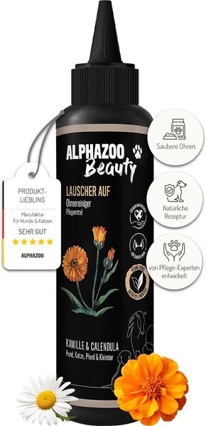 Gänseblümchen, Blume, Pflanze, Flasche