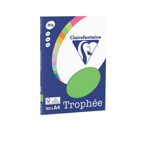 Kopierpapier Farbiges Papier, DIN A4, 80g/qm, 100 Blatt, minze