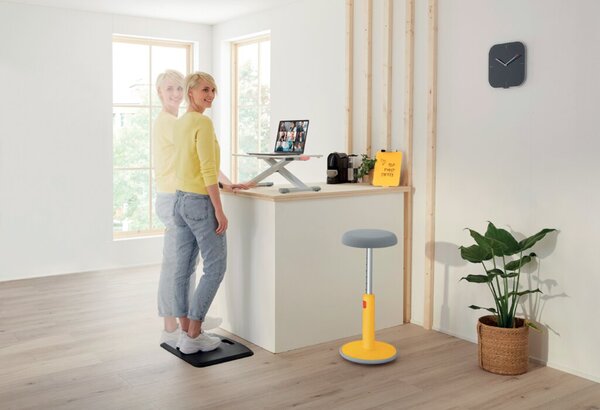 Schreibtisch, Mobiliar, Tabelle, Stehender Schreibtisch, Pflanze