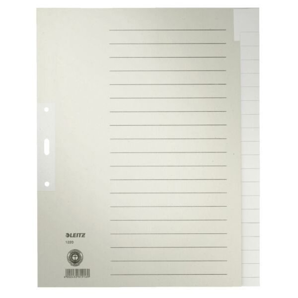 Papierregister, DIN A4 Überbreite, 20-teilig, blanko, 100g/qm, Tauenpapier, grau, 2-fach Lochung