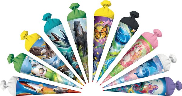 Schultüten, diverse Motive, 70 cm, 10 Stück