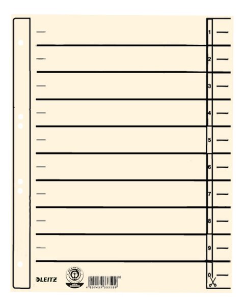 Trennblätter, DIN A4 Überbreite, chamois, Liniendruck, Lochung hinterklebt, Kraftkarton 200g/qm, 100 Stück, 240 x 300 mm