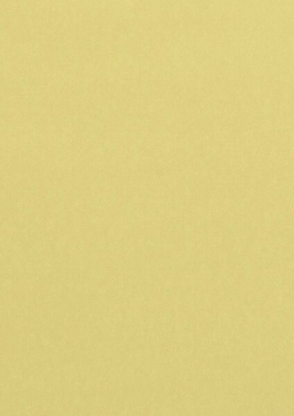 Kopierpapier Farbiges Papier, DIN A4, 80g/qm, 100 Blatt, chamois