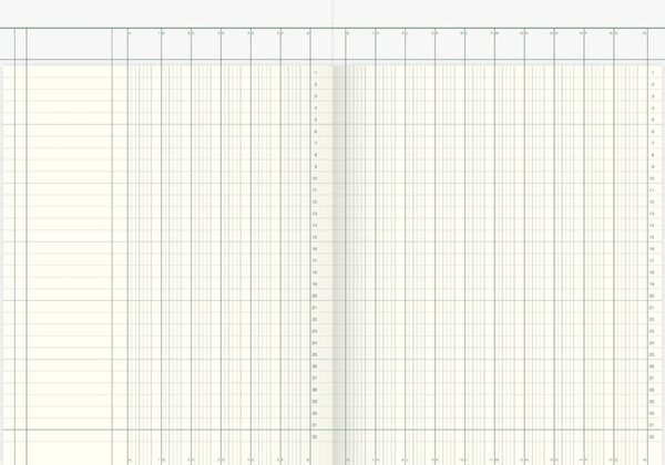 Spaltenbuch DIN A4, 40 Blatt, holzfrei, 16 Spalten, kartoniert