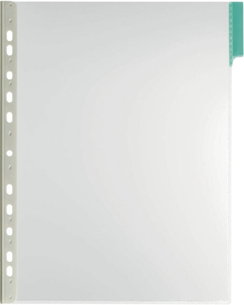 Sichttafel FUNCTION PANEL, DIN A4, 5 eingeschweißte Taben, 5 Stück, grün